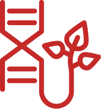 noun-plant-dna-8051202